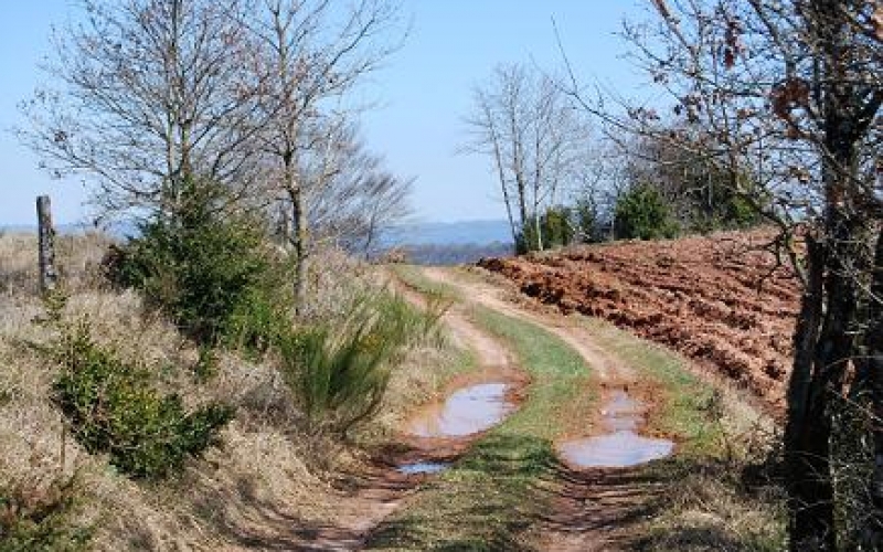 Plateau de Cayourtes
